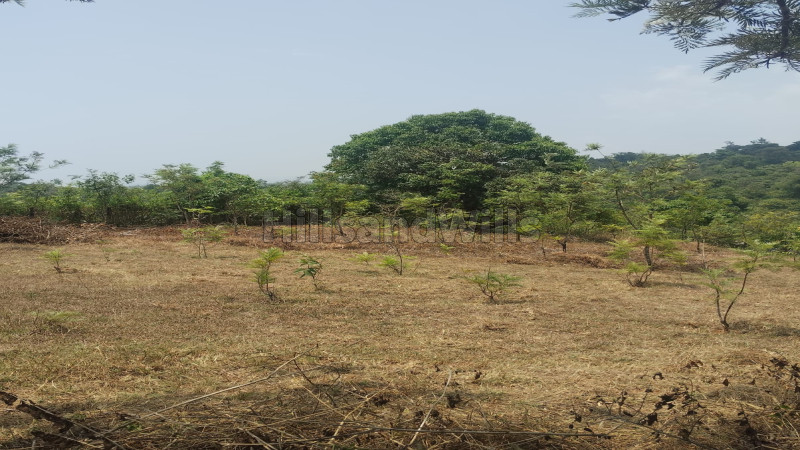₹5 Cr | 1 acres agriculture land for sale in madikeri coorg