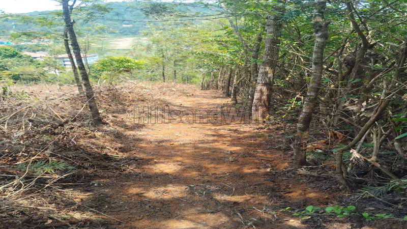 ₹5 Cr | 1 acres agriculture land for sale in madikeri coorg