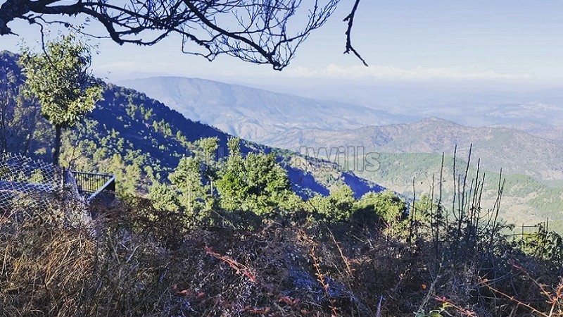 ₹1.60 Cr&nbsp;|&nbsp;1600 sq.meter commerical land for sale  in ramnagar nainital