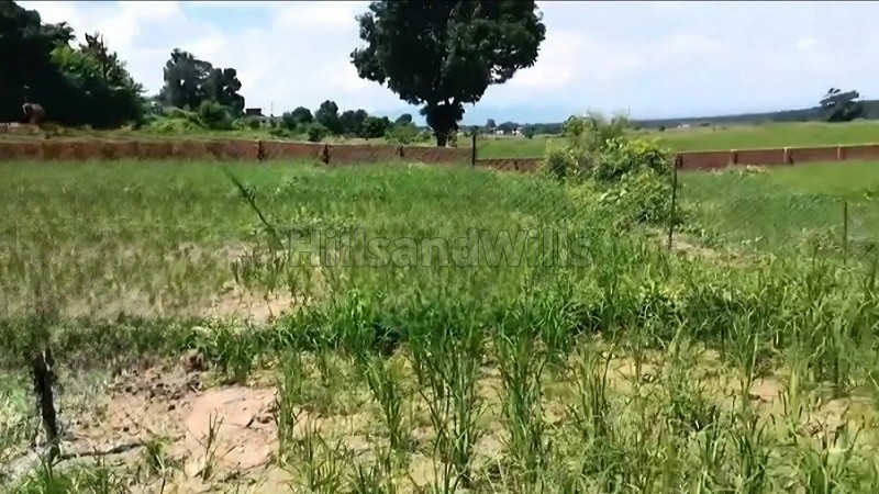 ₹48 Lac&nbsp;|&nbsp;2000 sq.ft. residential plot for sale  in horawala dehradun