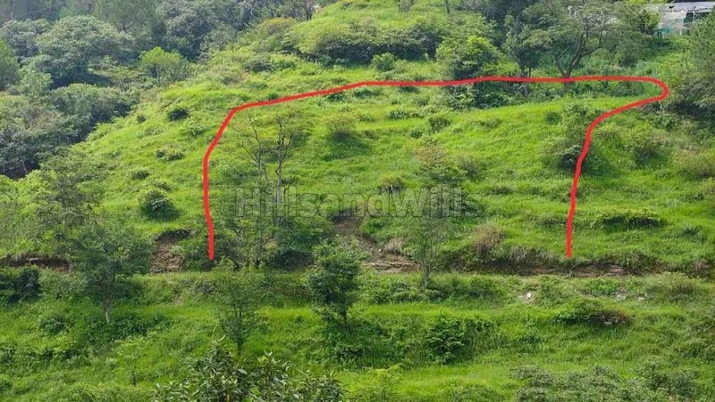 ₹1.50 Cr&nbsp;|&nbsp;30 biswa agriculture land for sale  in panthaghati shimla