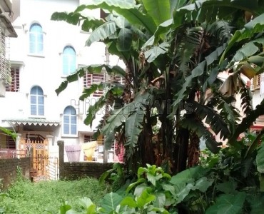 2.5 kattha residential plot for sale  in new pual para siliguri