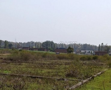 300 sq.yards residential plot for sale  in sabhawala dehradun