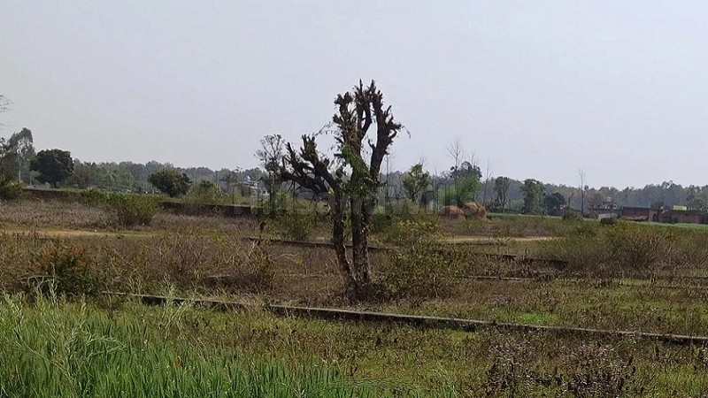 ₹45 Lac&nbsp;|&nbsp;300 sq.yards residential plot for sale  in sabhawala dehradun