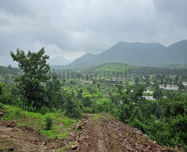 11 guntha agriculture land for sale  in kamshet lonavala