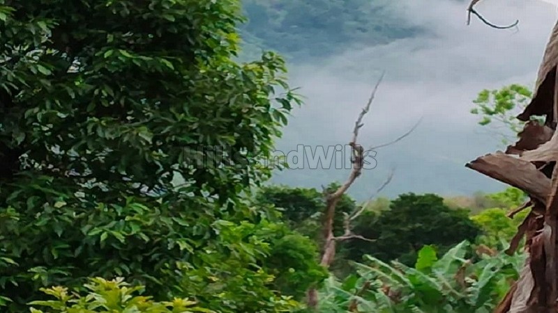 ₹1.30 Cr&nbsp;|&nbsp;1.3 acres agriculture land for sale  in vadagounji kodaikanal