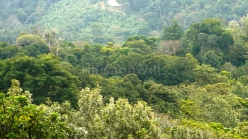 ₹86.25 Lac&nbsp;|&nbsp;3.75 acres agriculture land for sale  in kodaikanal
