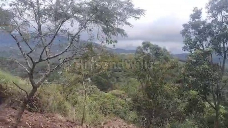 ₹2.50 Cr | 10bhk cottage for sale in santhanpara munnar