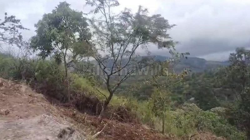 ₹2.50 Cr | 10bhk cottage for sale in santhanpara munnar