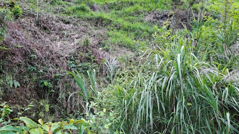 ₹25 Lac&nbsp;|&nbsp;3000 sq.ft. residential plot for sale  in gangtok sikkim