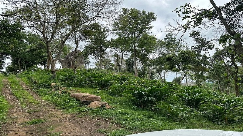 ₹30 Lac | 325 acres agriculture land for sale in pandrimalai village kodaikanal