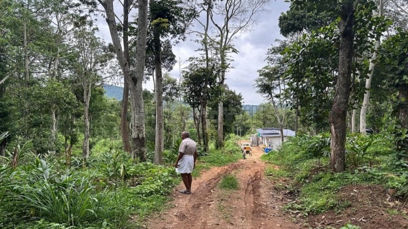 ₹30 Lac | 325 acres agriculture land for sale in pandrimalai village kodaikanal