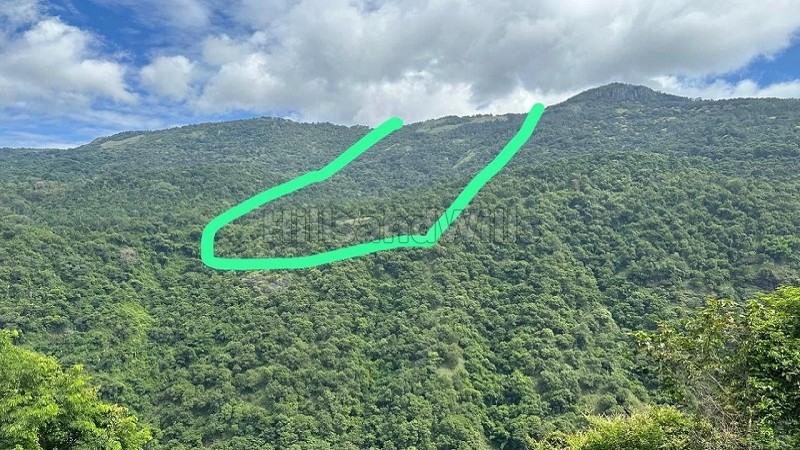 ₹30 Lac | 325 acres agriculture land for sale in pandrimalai village kodaikanal