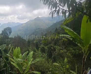 22 acres agriculture land for sale  in vadakavunji kodaikanal