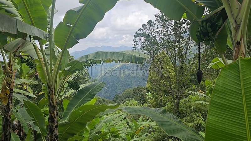 ₹7.26 Cr&nbsp;|&nbsp;22 acres agriculture land for sale  in vadakavunji kodaikanal