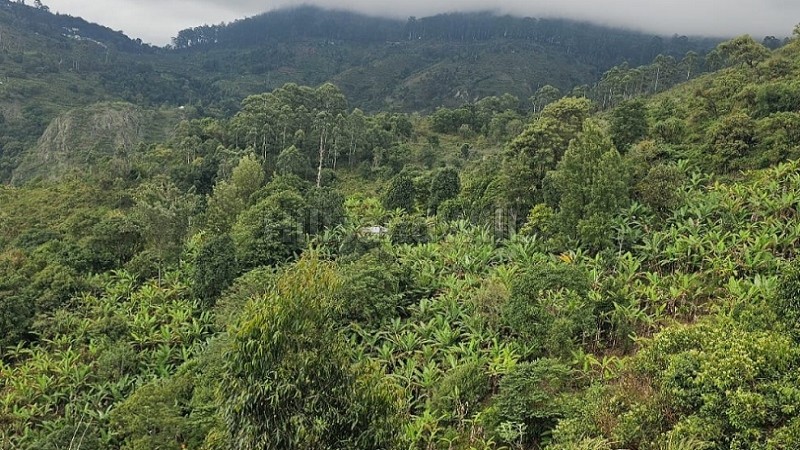 ₹7.26 Cr&nbsp;|&nbsp;22 acres agriculture land for sale  in vadakavunji kodaikanal