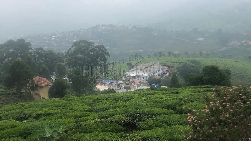 ₹1.50 Cr&nbsp;|&nbsp;56 cents tea estate for sale  in selas coonoor