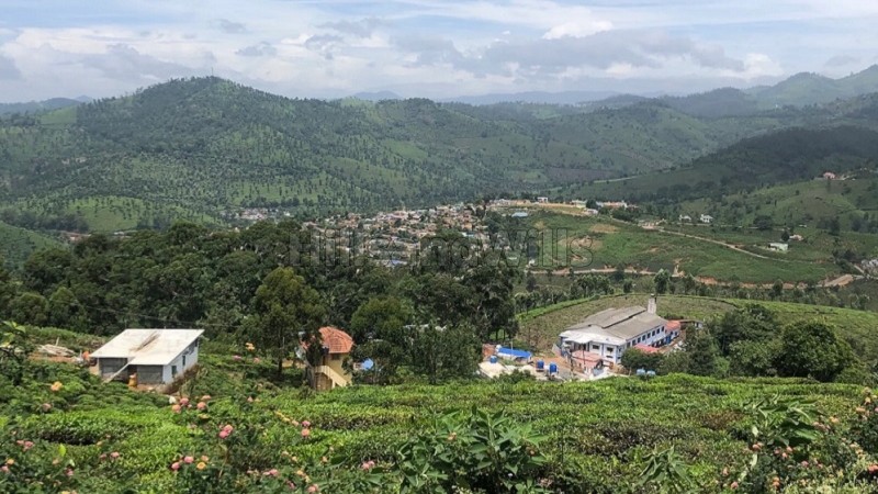 ₹1.50 Cr&nbsp;|&nbsp;56 cents tea estate for sale  in selas coonoor