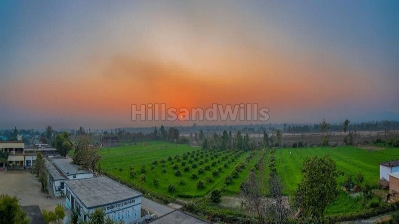 ₹2.10 Cr&nbsp;|&nbsp;5.25 bigha  homestay farmhouse land for sale  in jimcorbett, ramnagar near nainital