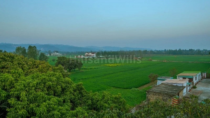 ₹2.10 Cr&nbsp;|&nbsp;5.25 bigha  homestay farmhouse land for sale  in jimcorbett, ramnagar near nainital