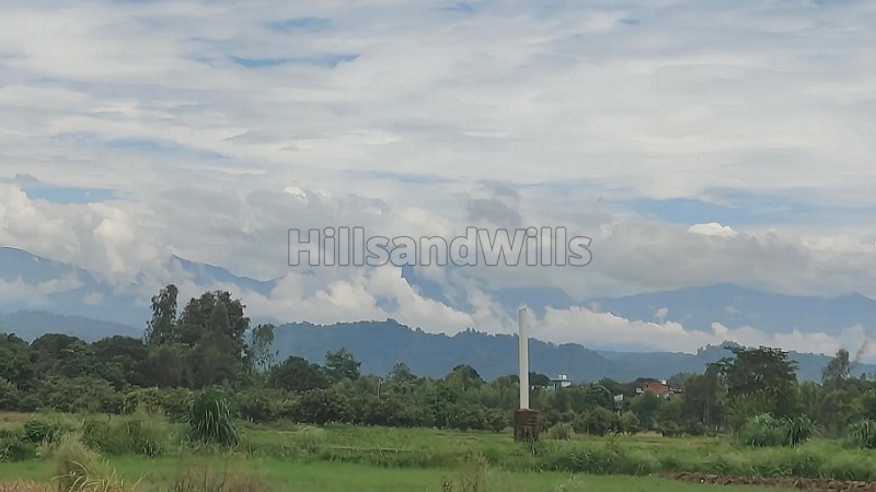 ₹2.10 Cr&nbsp;|&nbsp;5.25 bigha  homestay farmhouse land for sale  in jimcorbett, ramnagar near nainital