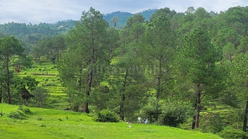 ₹22 Lac - 45 Lac&nbsp;|&nbsp;240 sq.yards - 500 sq.yards residential plot for sale  in almora near nainital