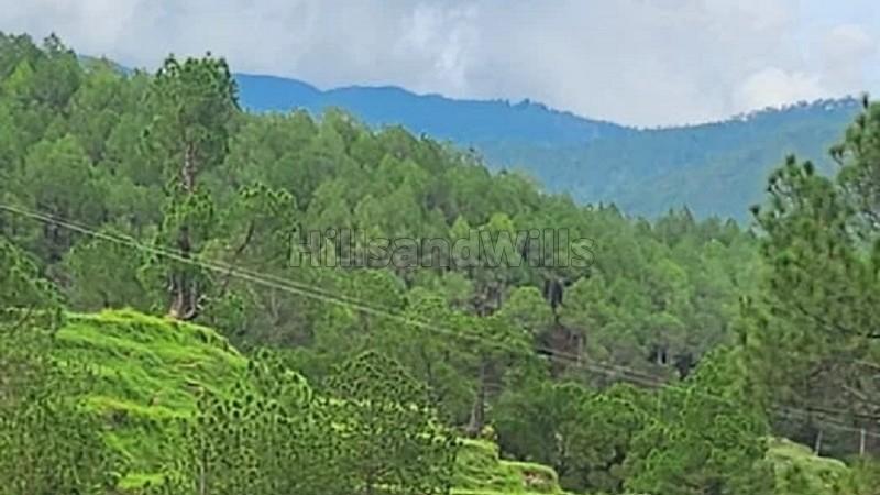 ₹22 Lac - 45 Lac&nbsp;|&nbsp;240 sq.yards - 500 sq.yards residential plot for sale  in almora near nainital