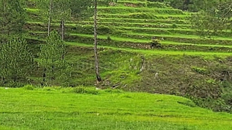 ₹22 Lac - 45 Lac&nbsp;|&nbsp;240 sq.yards - 500 sq.yards residential plot for sale  in almora near nainital