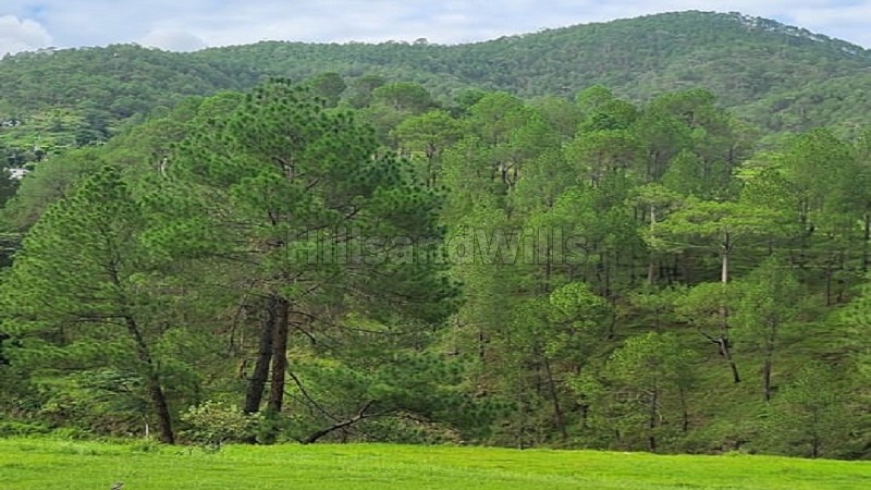 ₹22 Lac - 45 Lac&nbsp;|&nbsp;240 sq.yards - 500 sq.yards residential plot for sale  in almora near nainital