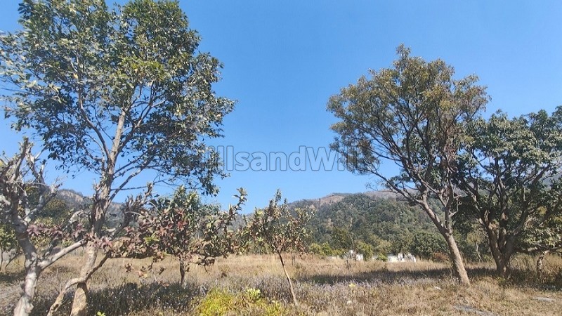 ₹12 Cr&nbsp;|&nbsp;60 nali commerical land for sale  in jim corbett ramnagar nainital
