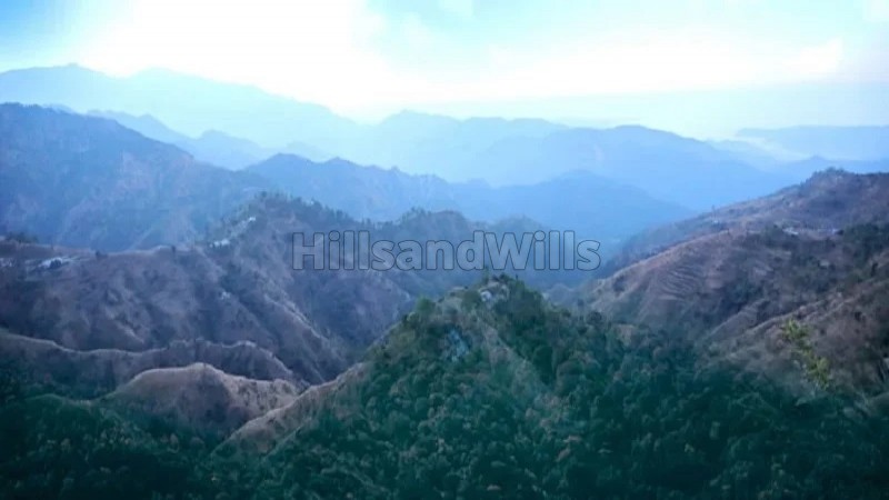 ₹12 Cr&nbsp;|&nbsp;60 nali commerical land for sale  in jim corbett ramnagar nainital