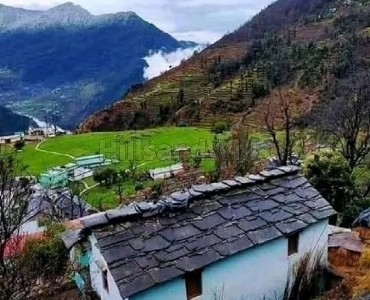 10 nali agriculture land for sale  in manila near almora / nainital