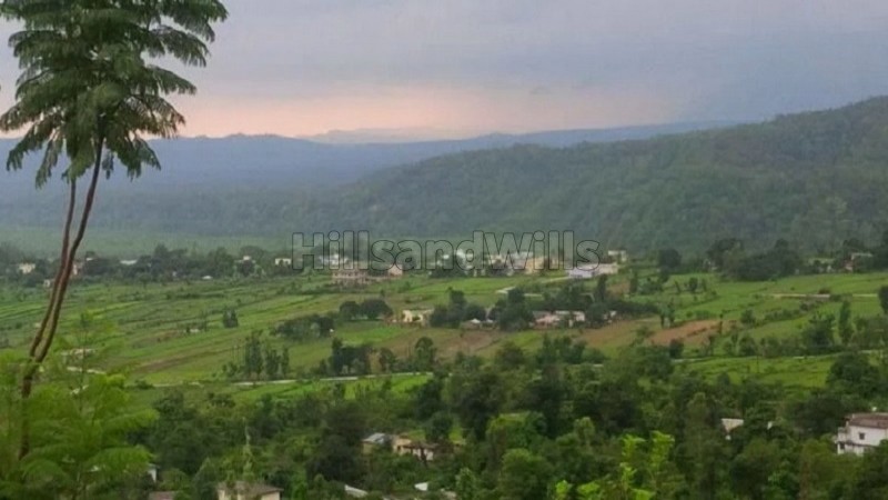 ₹1 Cr&nbsp;|&nbsp;10 nali agriculture land for sale  in manila near almora / nainital