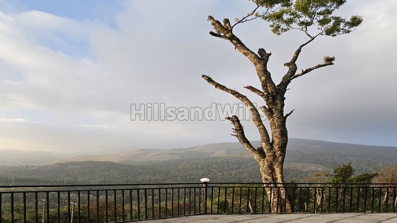 ₹1.30 Cr&nbsp;|&nbsp;3bhk  premium cottage for sale  in poopara, munnar