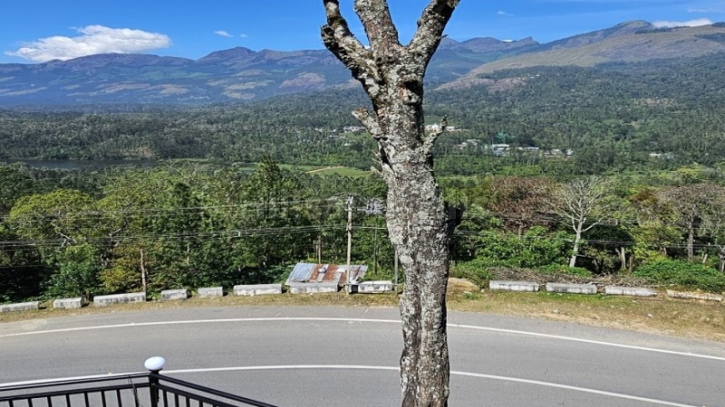 ₹1.30 Cr&nbsp;|&nbsp;3bhk  premium cottage for sale  in poopara, munnar