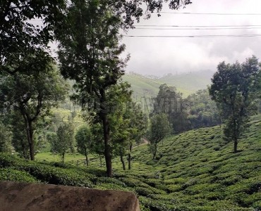 300 cents agriculture land for sale in erumad gudalur 300 cents agriculture land for sale in erumad gudalur