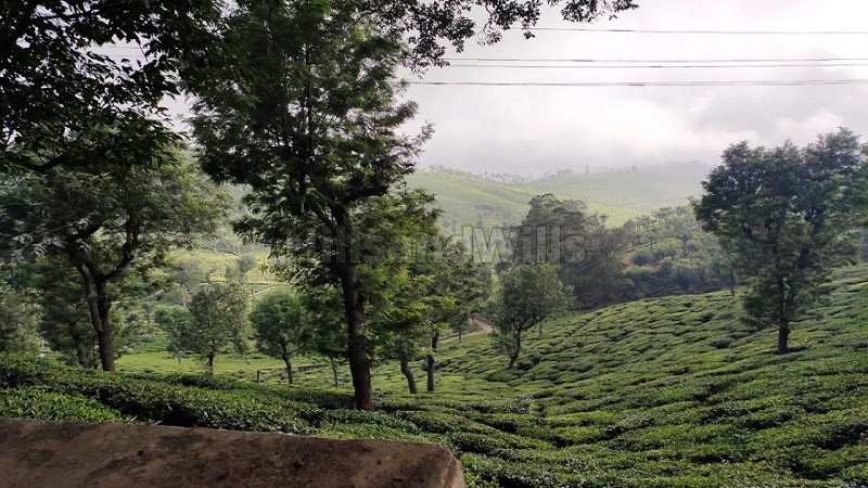 ₹75 Lac | 300 cents agriculture land for sale in erumad gudalur