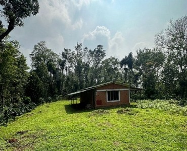 4 acres coffee estate for sale in somwarpet coorg 4 acres coffee estate for sale in somwarpet coorg