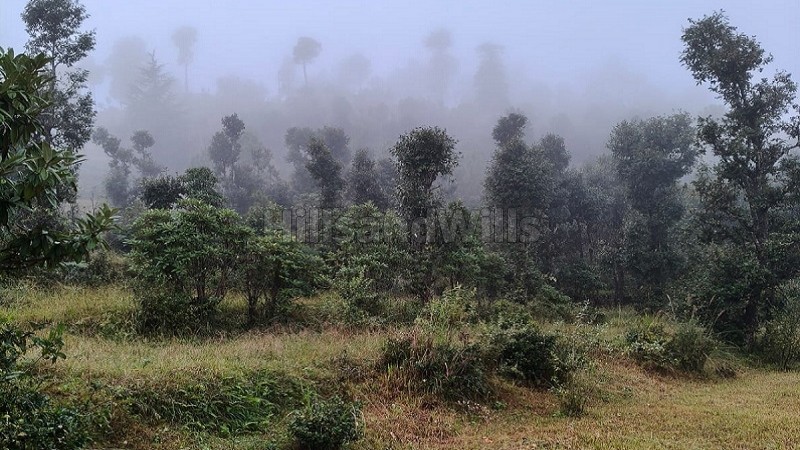 ₹43.20 Lac - 2.16 Cr | 4320 sq.ft. - 21600 sq.ft. residential plot for sale in mall road, almora near nainital