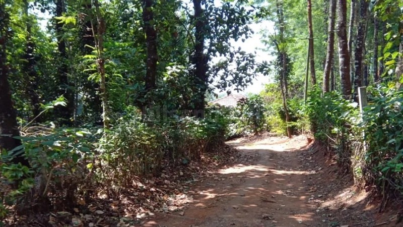 ₹1.43 Cr&nbsp;|&nbsp;26 cents  revenue land with house for sale  in somwarpet coorg
