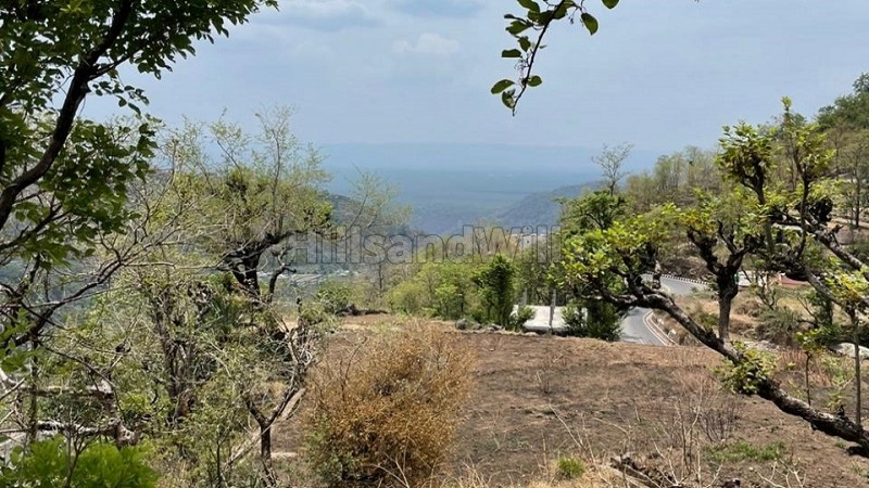 ₹2.10 Cr | 1350 sq.yards residential plot for sale in narendra nagar rishikesh