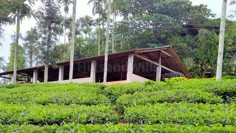 ₹14 Cr&nbsp;|&nbsp;50 acres coffee and tea estate for sale  in bitherkad gudalur