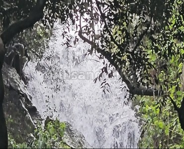 25 acres  agriculture land with waterfalls for sale  in kodaikanal