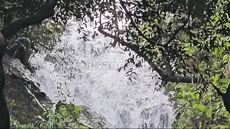 ₹6.75 Cr&nbsp;|&nbsp;25 acres  agriculture land with waterfalls for sale  in kodaikanal