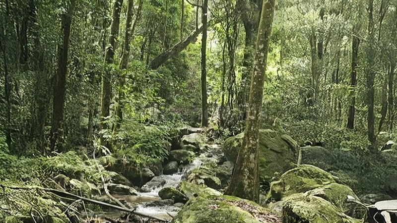 ₹6.75 Cr&nbsp;|&nbsp;25 acres  agriculture land with waterfalls for sale  in kodaikanal