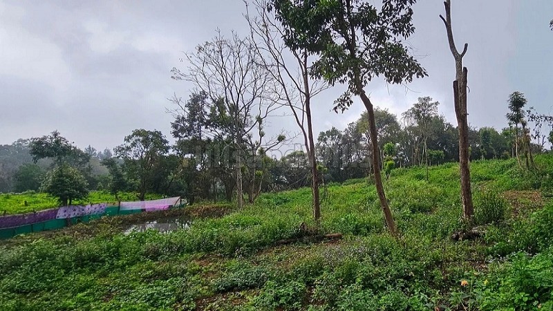 ₹6.75 Cr&nbsp;|&nbsp;25 acres  agriculture land with waterfalls for sale  in kodaikanal