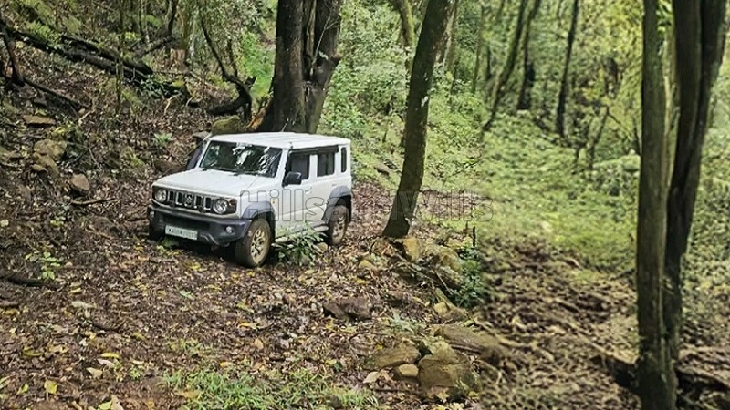 ₹6.75 Cr&nbsp;|&nbsp;25 acres  agriculture land with waterfalls for sale  in kodaikanal