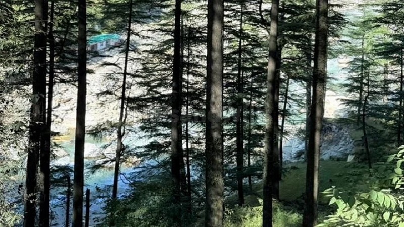 ₹3.20 Cr | 8720 sq.ft. commerical land for sale in kasol kullu-manali