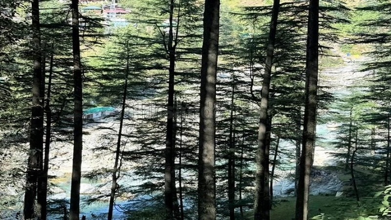 ₹3.20 Cr | 8720 sq.ft. commerical land for sale in kasol kullu-manali