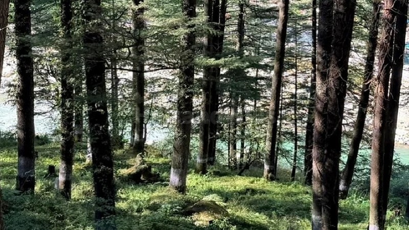 ₹3.20 Cr | 8720 sq.ft. commerical land for sale in kasol kullu-manali